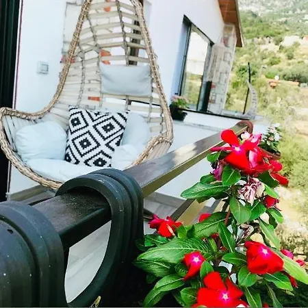 Hotel Natali *