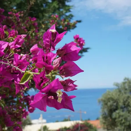 Hotel Natali Dhërmi